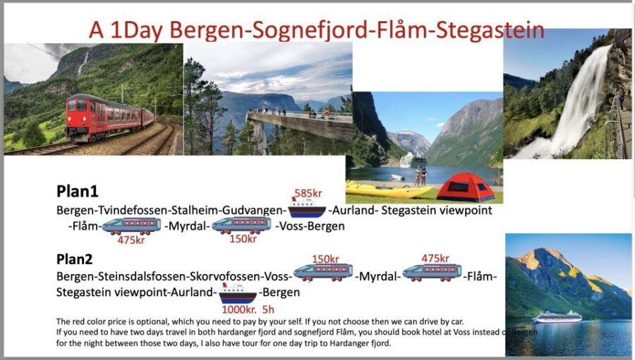 Flexible Tour to Hardangerfjord, Vøringsfossen, or Glacier