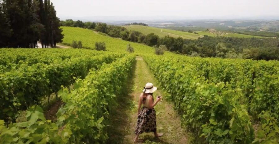 Florence: Chianti Vineyards Tour With Wine Tasting & Dinner - Good To Know