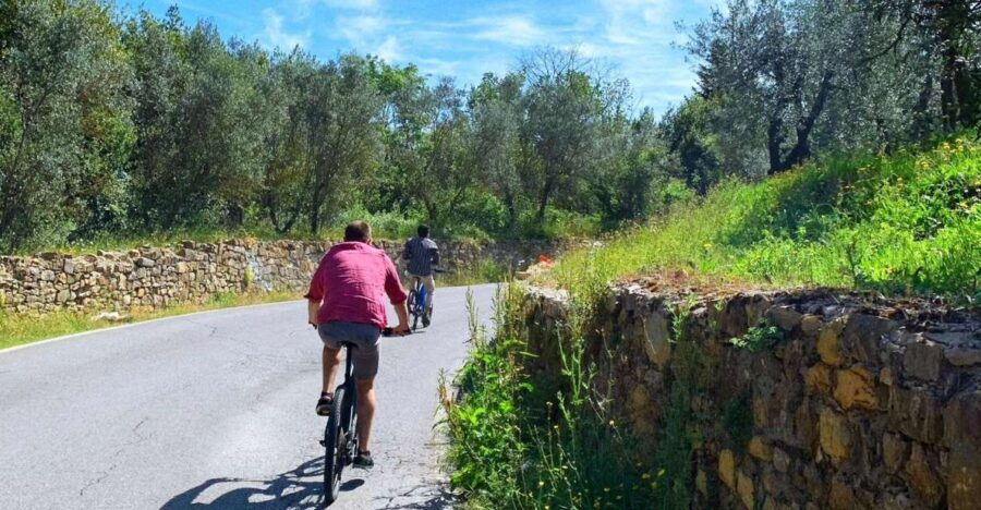 Florence: E-Bike Tour of Tuscan Countryside & Farm Visit - Good To Know
