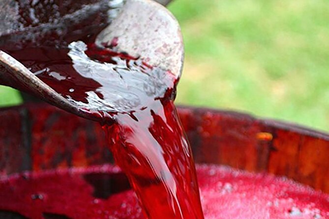 Florence: Wine Making Private Experience In Tuscany - Good To Know