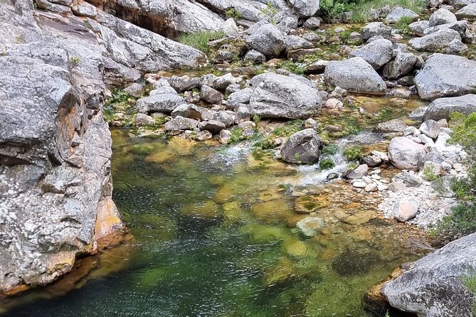 Fly Fishing in Cape Town for Five Hours