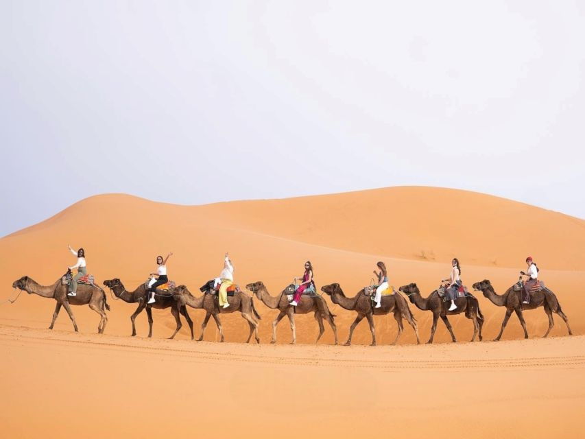 Fom Marrakech: 4-Day Desert Tour to Fez