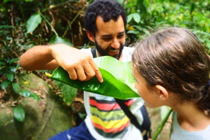 Forest Forager – Wild Food Walk