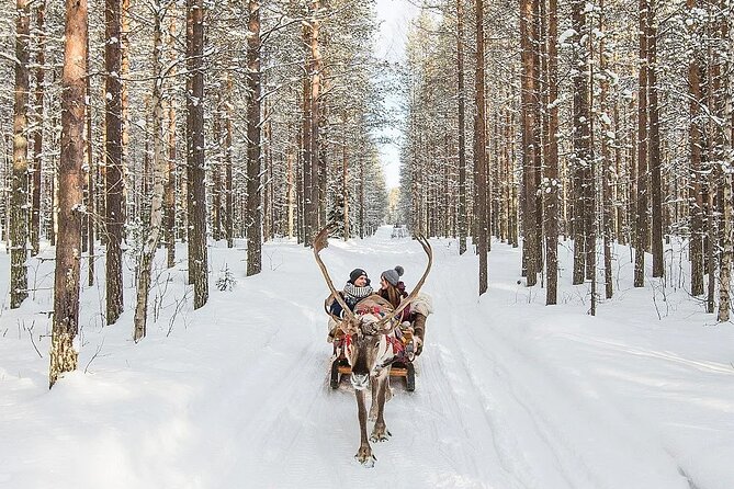 Forest Trail Reindeer Safari - Booking and Transportation