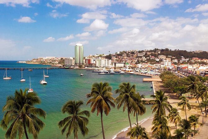 Fort-de-France Private 2-Hour Walking Tour