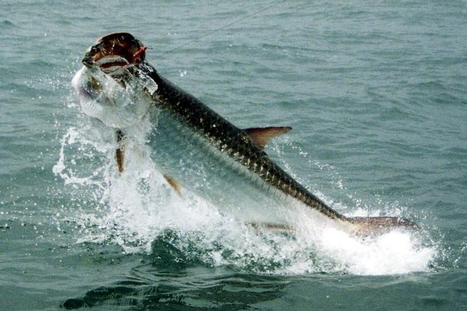 Fort Lauderdale Inshore Fishing Charters - Overview of Fishing Charter