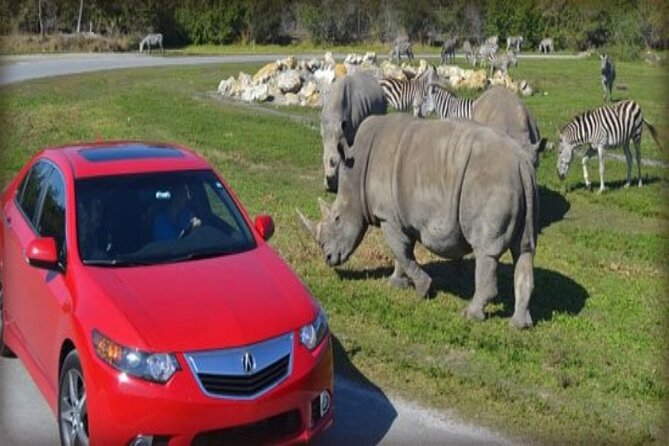 Fort Lauderdale, Lion Country Safari and Palm Beach Day Tour