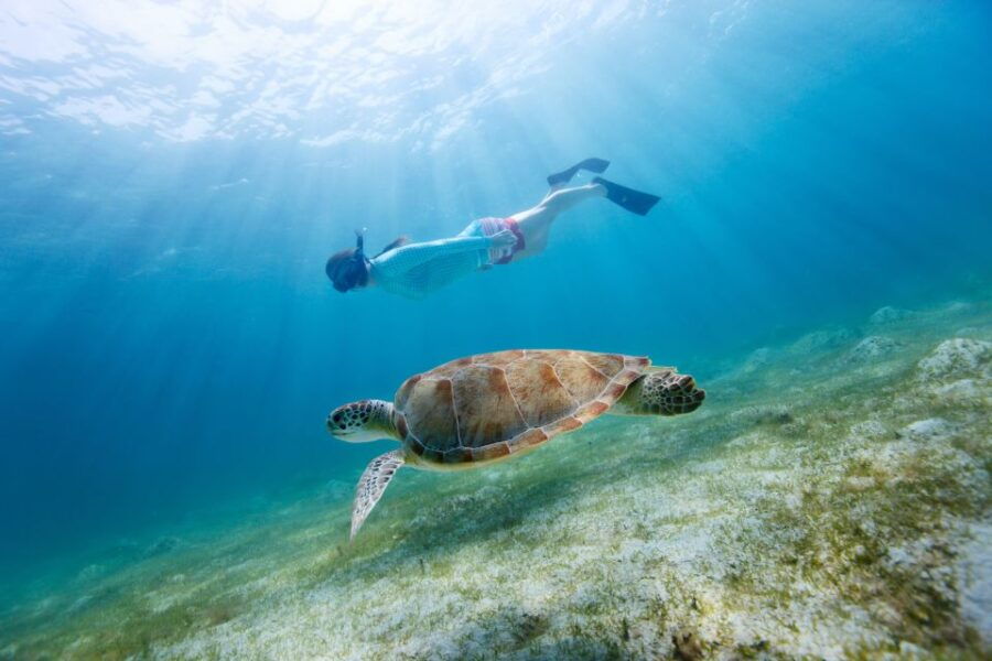Fort Walton Beach: Morning Dolphin Cruise With Snorkel Stop