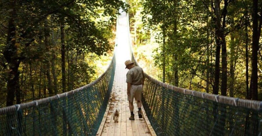 Foxfire Mountain: Hiking & Swinging Bridge Family Adventure