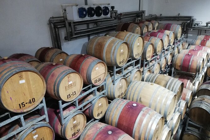 Franschhoek E-bike Ride & Wine Experience