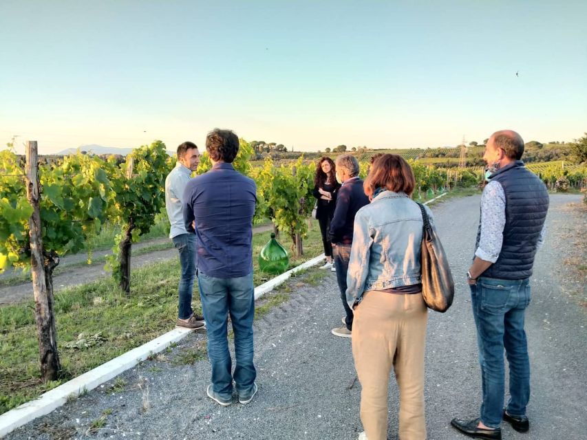 Frascati Vineyard's Guided Tour With Wine Tasting - Good To Know