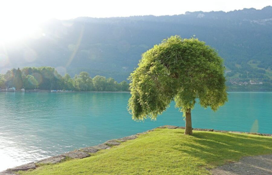 Free-Day in Interlaken Village From Lausanne