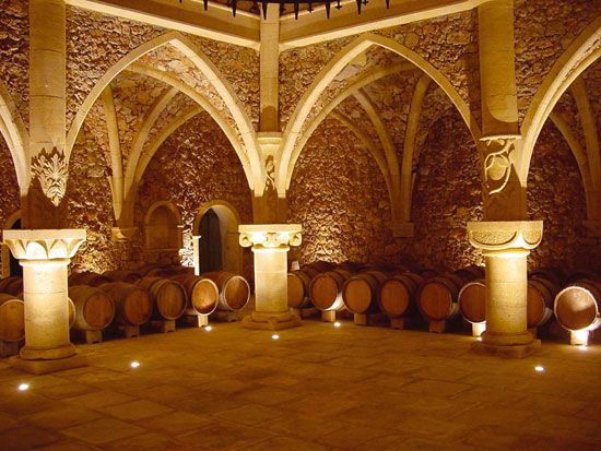 French Riviera: Provencal Wine Tours - Good To Know