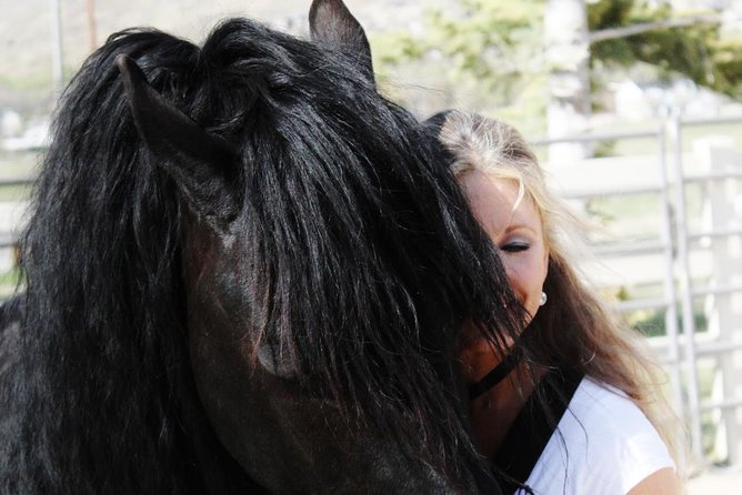 Friesian Herd Tours, Workshops, Classes and Retreats in the Kettle Moraine Area.
