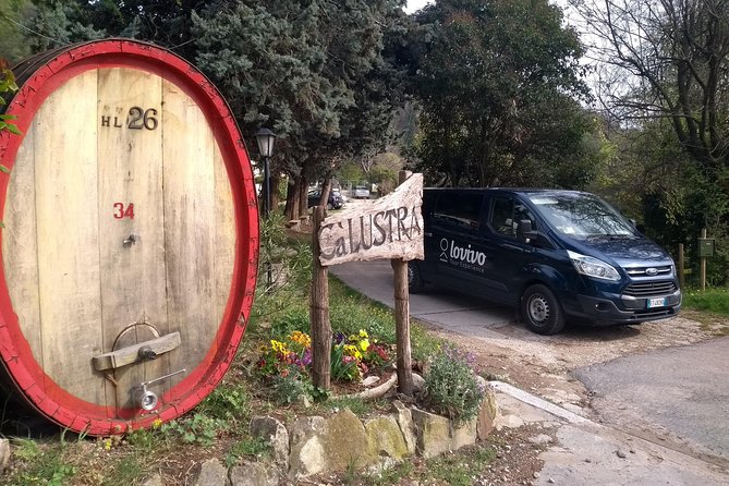 From Abano Montegrotto, Wine Tour in the Euganean Hills