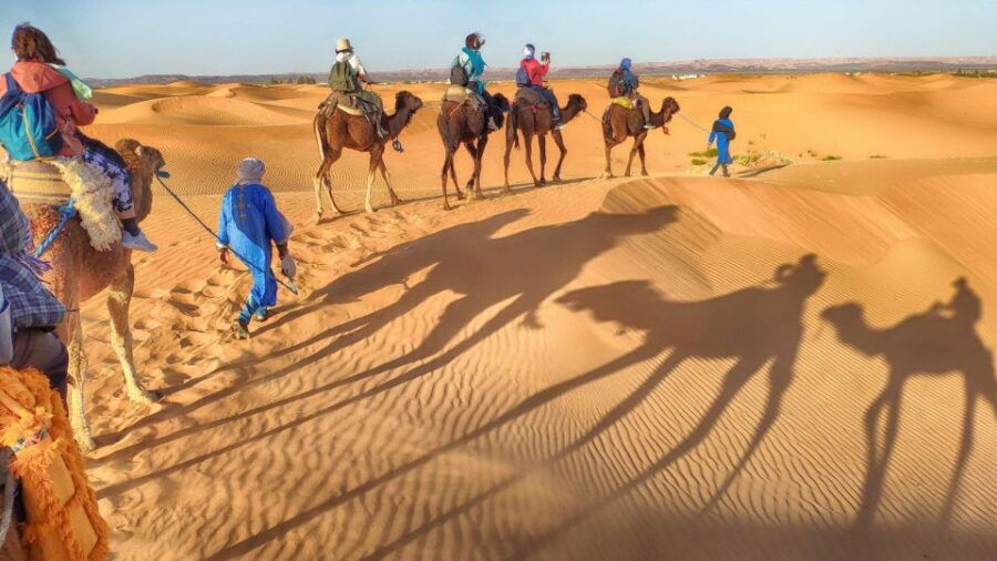 From Agadir: Camel Ride and Flamingo Trek - Good To Know