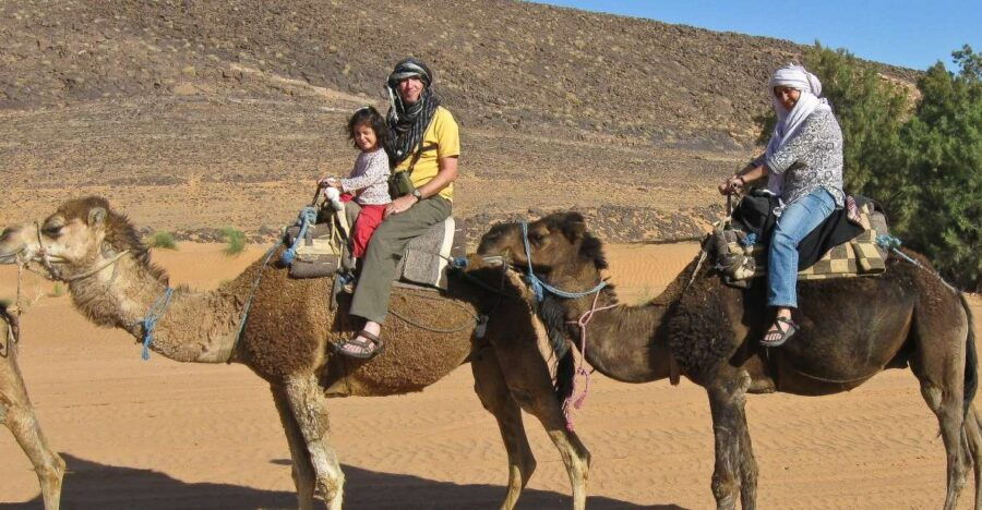 From Agadir: Camel Ride and Flamingo Trek - Good To Know