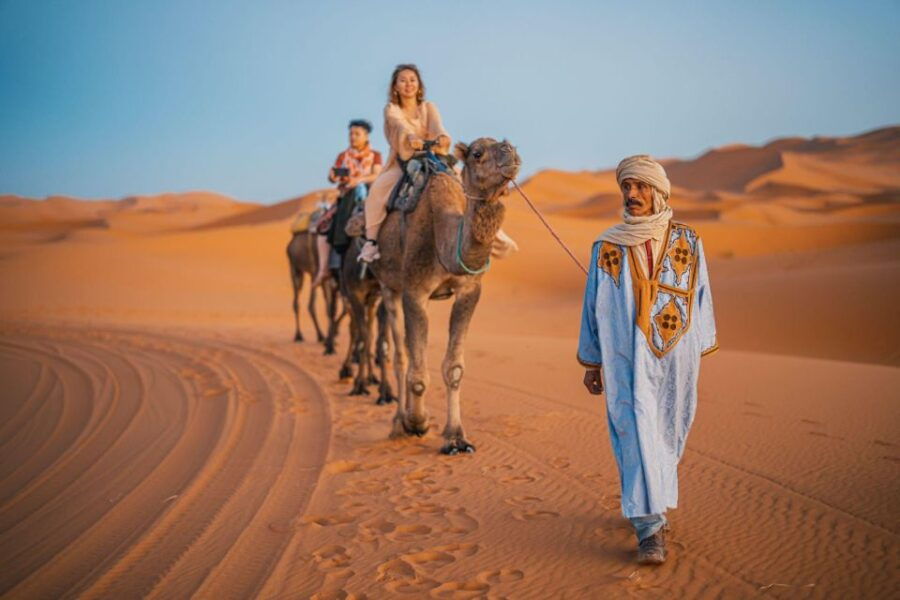From Agadir: Camel Ride and Flamingo Trek