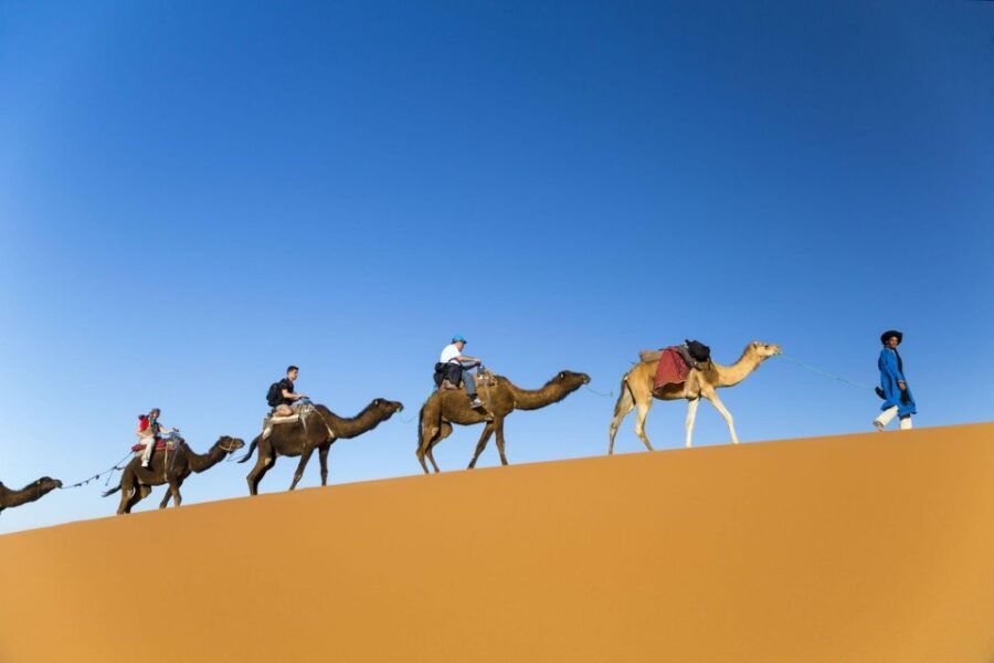 From Agadir: Camel Ride and Flamingo Trek