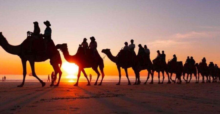 From Agadir: Camel Riding Tours With Flamingo River & Tea - Good To Know