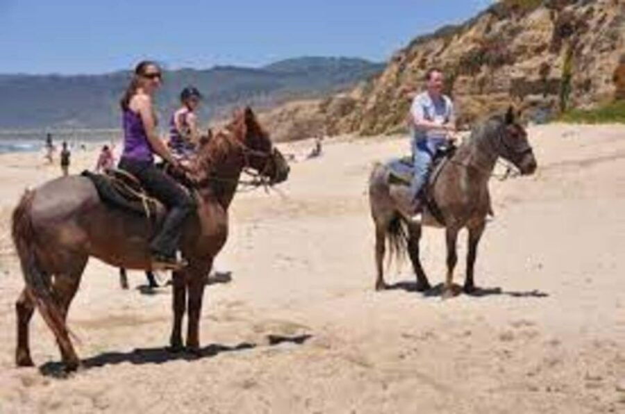 From Agadir or Taghazout: 2 Days Horse Riding Adventure