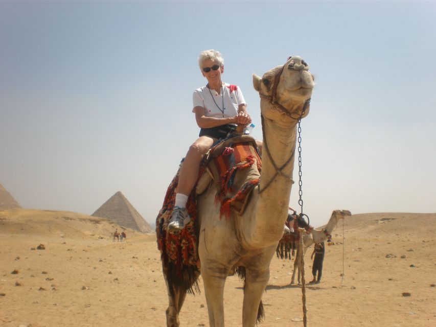 From Agadir or Taghazout: Camel Ride and Flamingo River Tour - Good To Know