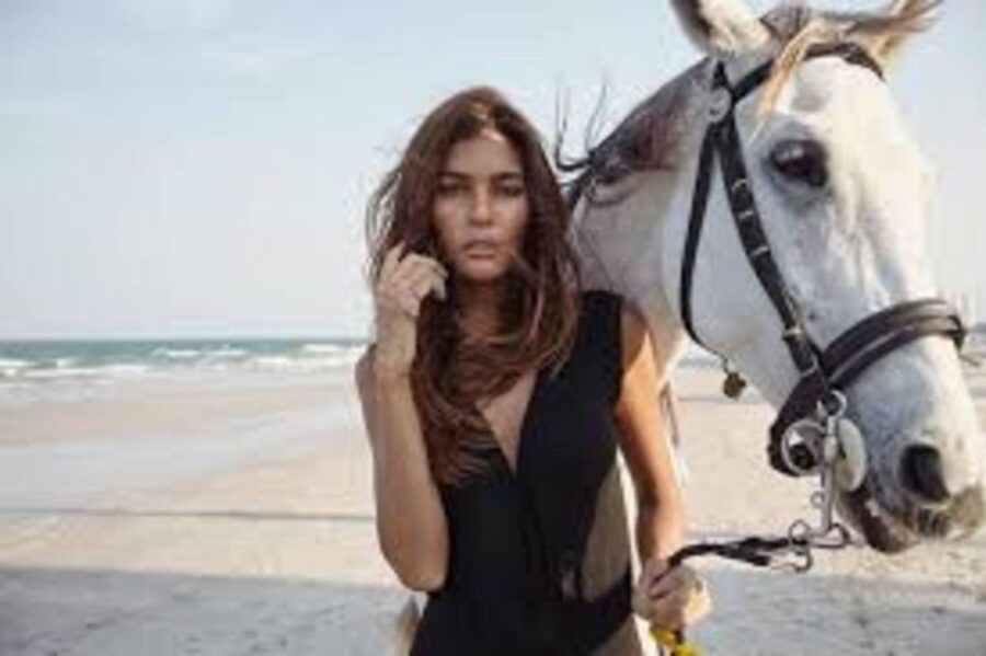 From Agadir or Taghazout: Full Day Horse Riding With Lunch