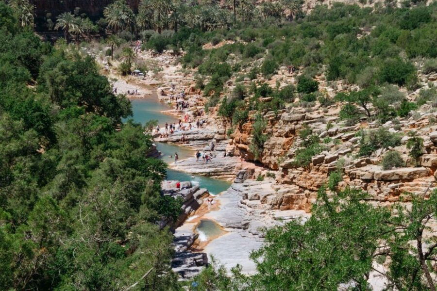 From Agadir or Taghazout: Paradise Valley Half Day Tour