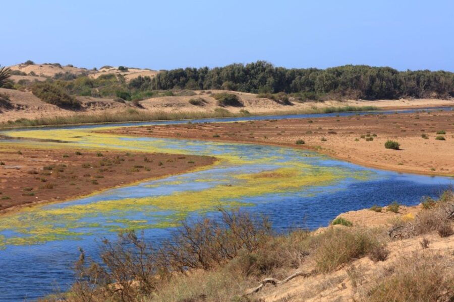 From Agadir: Sous Massa National Park Desert Safari W/Lunch - Good To Know