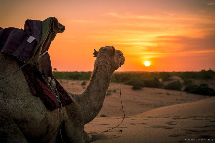 From Agadir: Sunset Camel Ride With BBQ Dinner and Transfer
