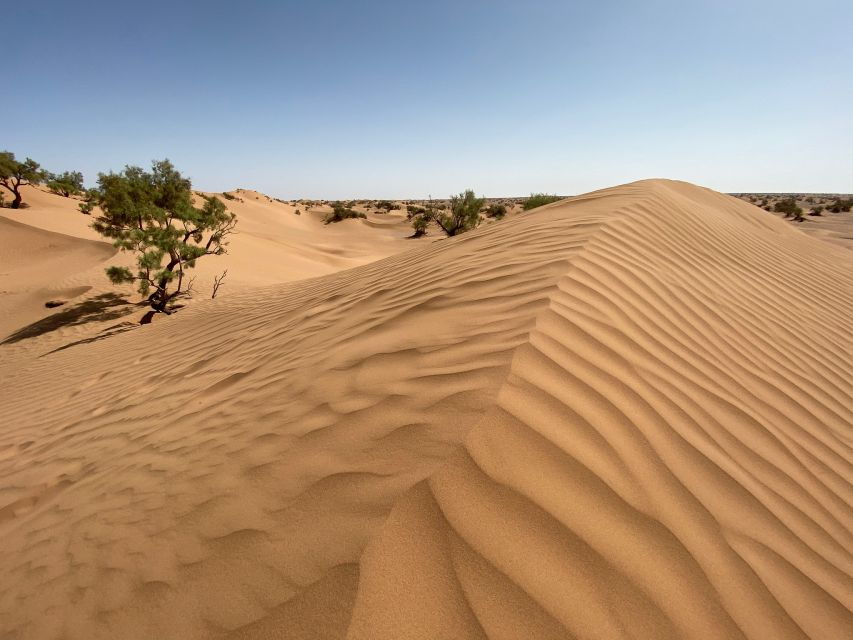 From Agadir/Taghazout: Sahara Sand Dunes With Transfer