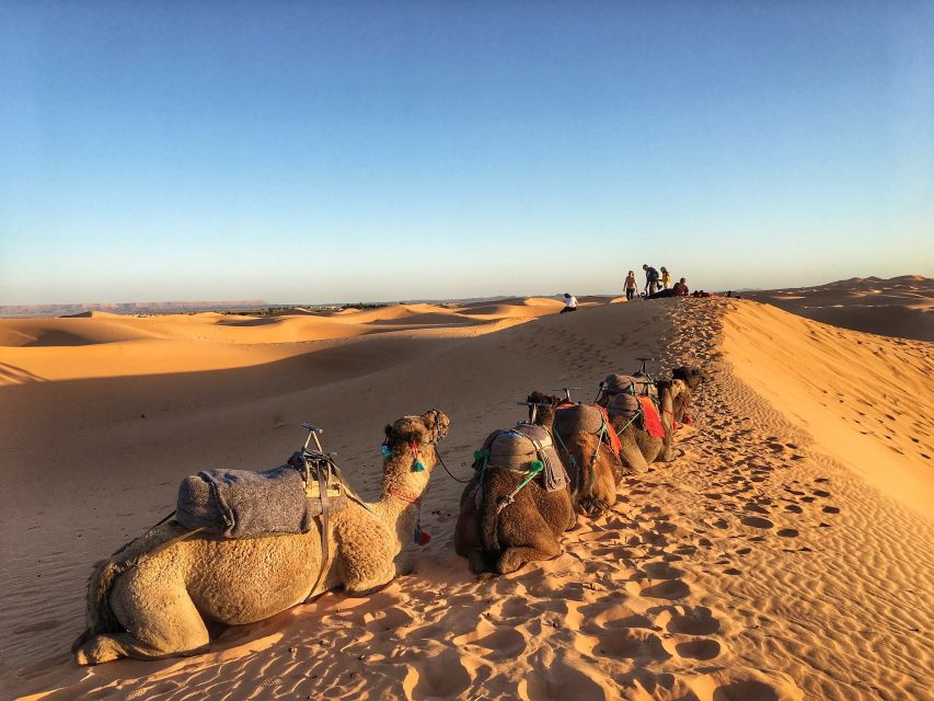From Agadir/Taghazout: Sahara Sand Dunes With Transfer