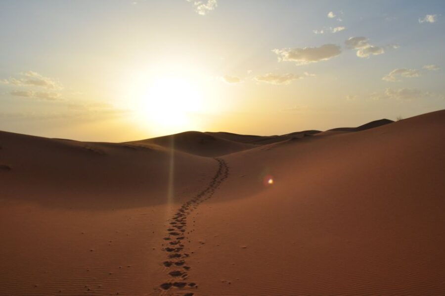 From Agadir/Taghazout: Sahara Sand Dunes With Transfer