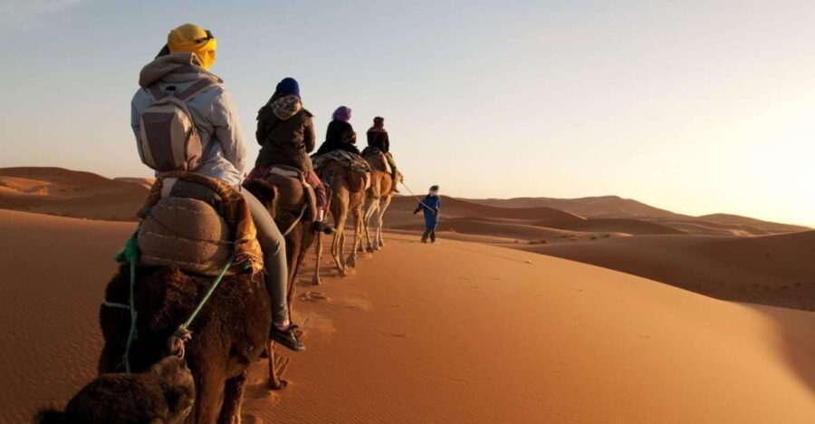 From Agadir/Taghazout: Sahara Sand Dunes With Transfer
