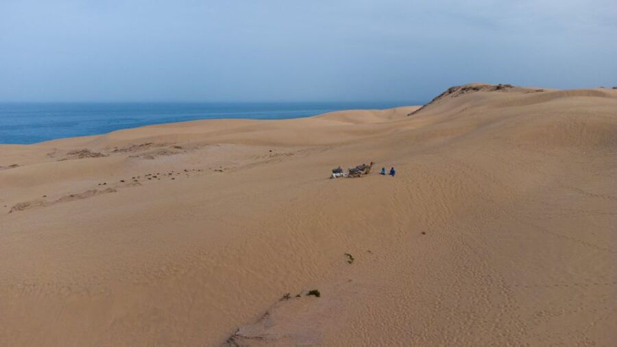 From Agadir/Taghazout: Sahara Sand Dunes With Transfer