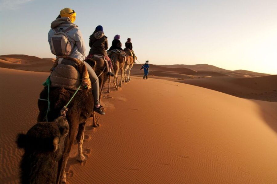 From Agadir/Taghazout: Sahara Sand Dunes With Transfer