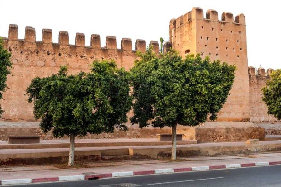 From Agadir: Taroudant & Tiout Guided Trip Including Lunch