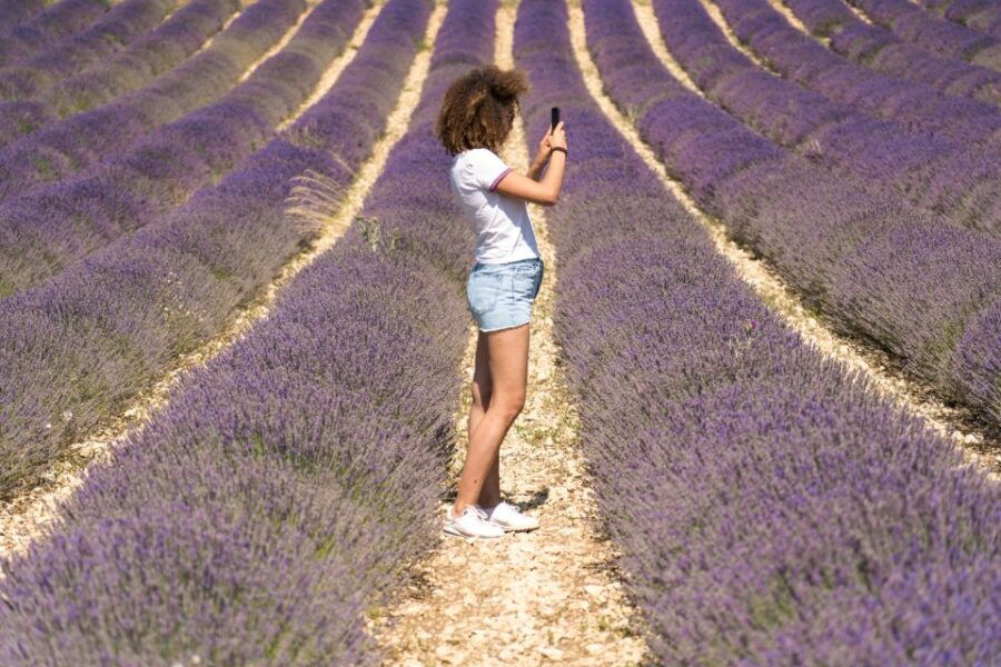 From Aix-en-Provence: Sault Lavender and Gordes Day Trip - Good To Know