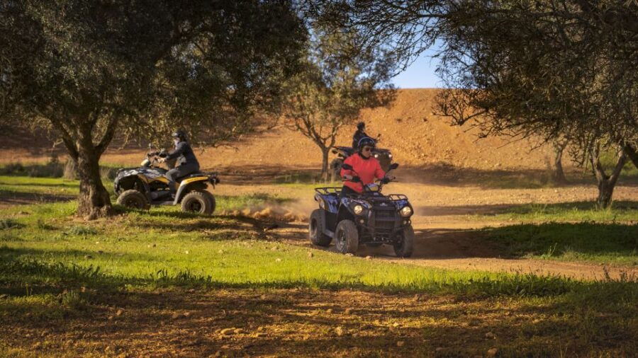 From Albufeira: Full-Day Off-Road Quad Tour