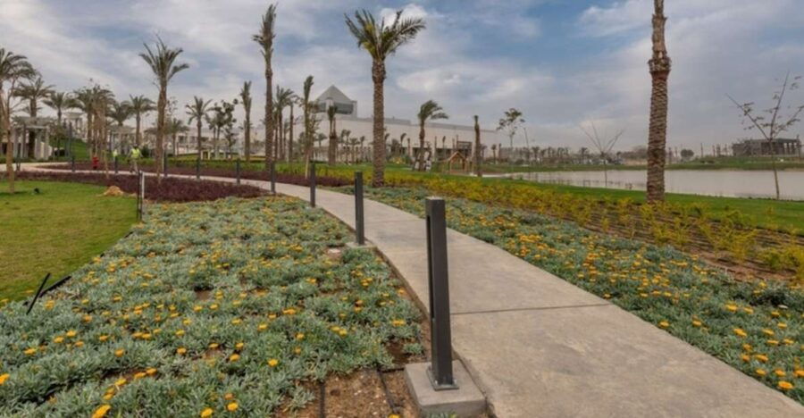 From Alexandria Port: National Museum & Egyptian Museum Tour - Good To Know