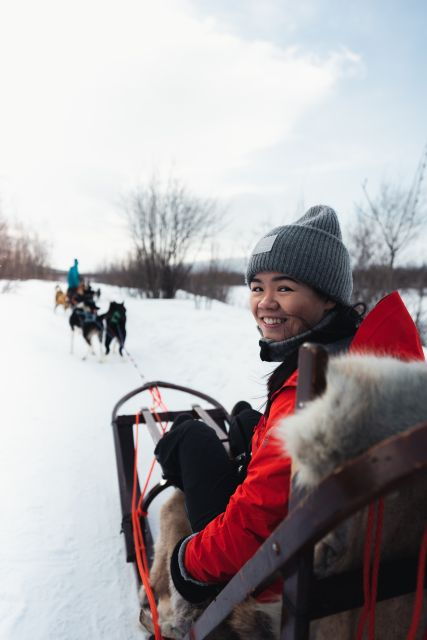 From Alta: Huskey Dog Sledding Tour With Sami Lavvo Visit