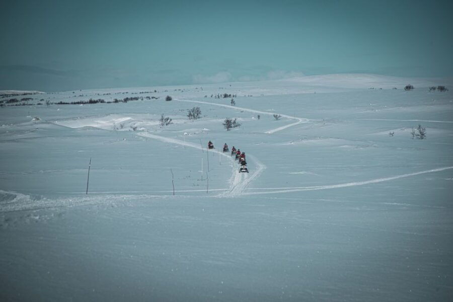From Alta: Snowmobile Morning Adventure