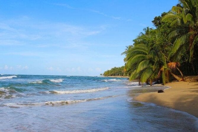 From Arenal- La Fortuna To Papagayo Gulf Shuttle Service