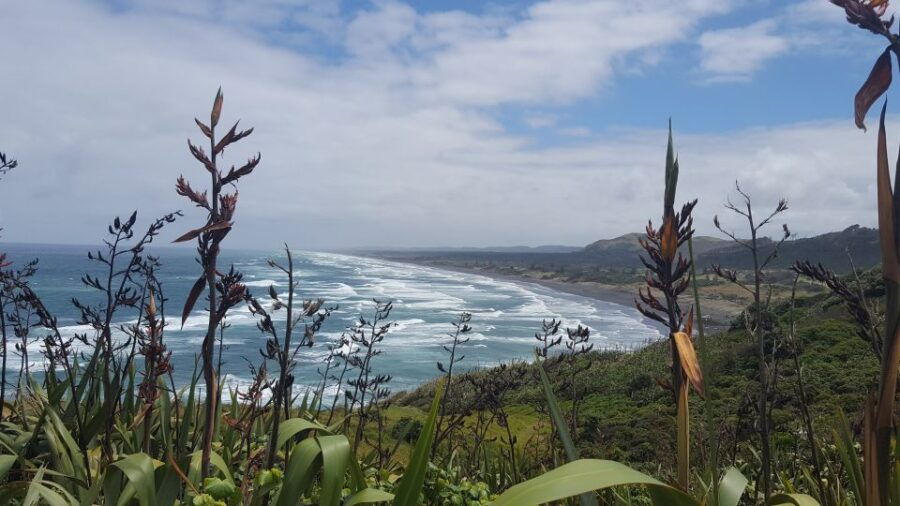 From Auckland: Small Group Kumeu Wine Tour With Lunch - Good To Know