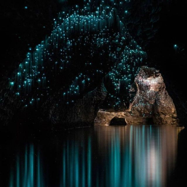 From Auckland: Waitomo Caves and Otorohanga Kiwi House Trip