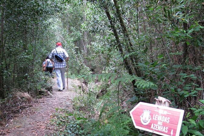 From Aveiro to Boco: Trail “Levadas of Watermills” With Picnic