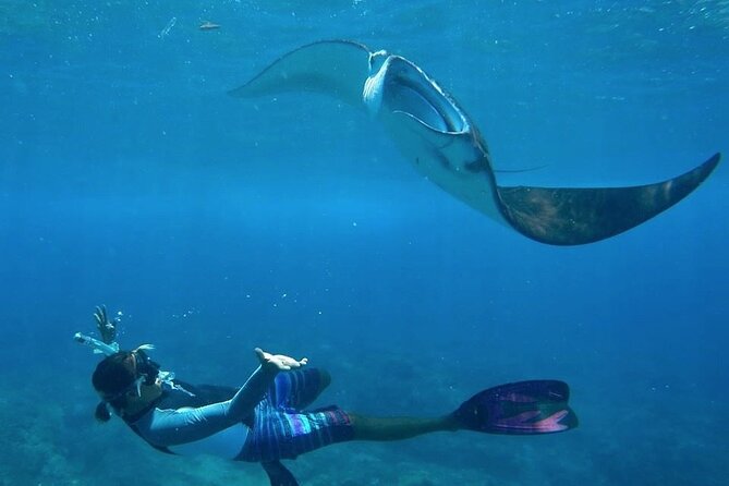 From Bali: Snorkeling With Manta Rays in Nusa Lembongan & Penida