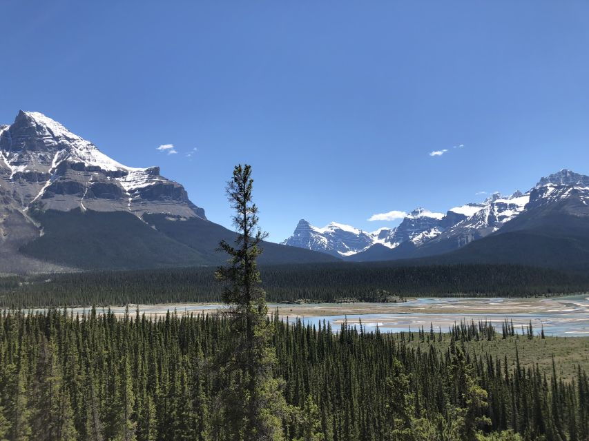 From Banff: Icefield Parkway Scenic Tour With Park Entry