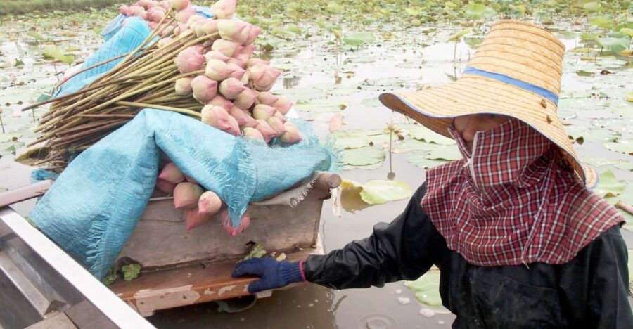From Bangkok: Mahasawat Canal and Farm With Lunch - Good To Know