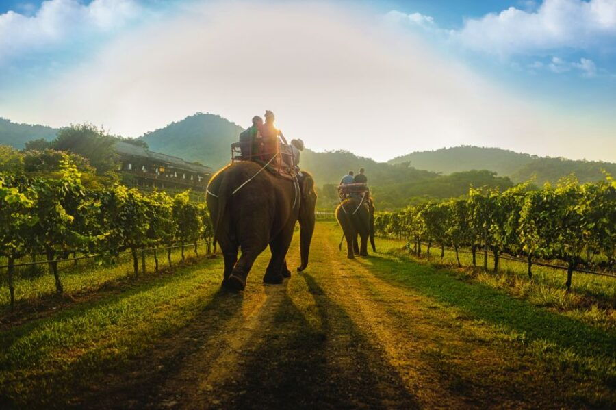 From Bangkok: Private Car Hire 10-Hours to Hua Hin - Good To Know